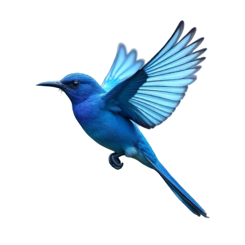 Keba Consulting | Leadership